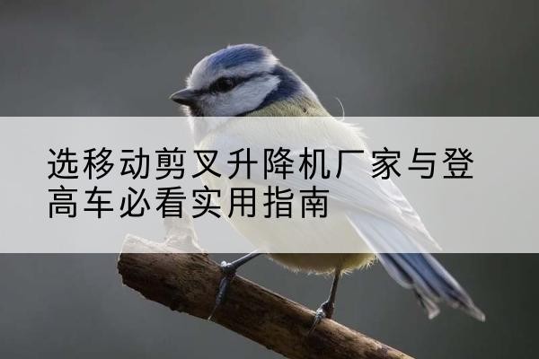 绥中电动升降机厂家-选移动剪叉升降机厂家与登高车必看实用指南