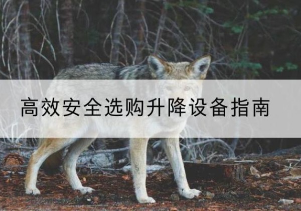 绥中升降货梯厂家推荐-*安全选购升降设备指南