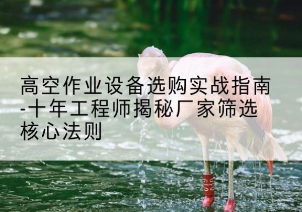 绥中剪叉式升降机厂家-高空作业设备选购实战指南-十年工程师揭秘厂家筛选核心法则